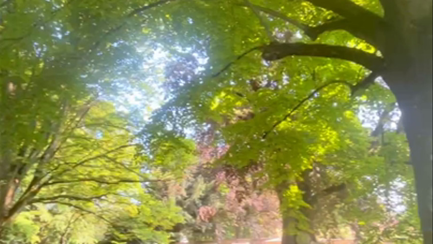Parc du château 