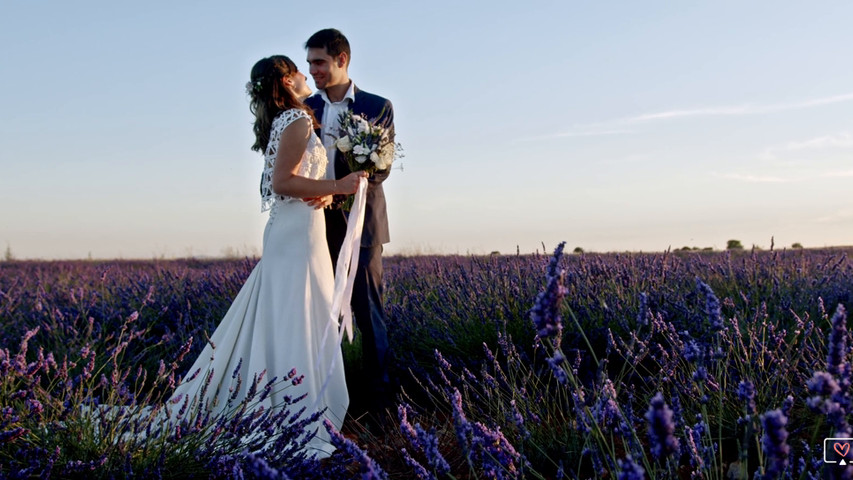 Lavender fields - Mariage Alice