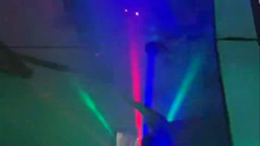 Animlight 