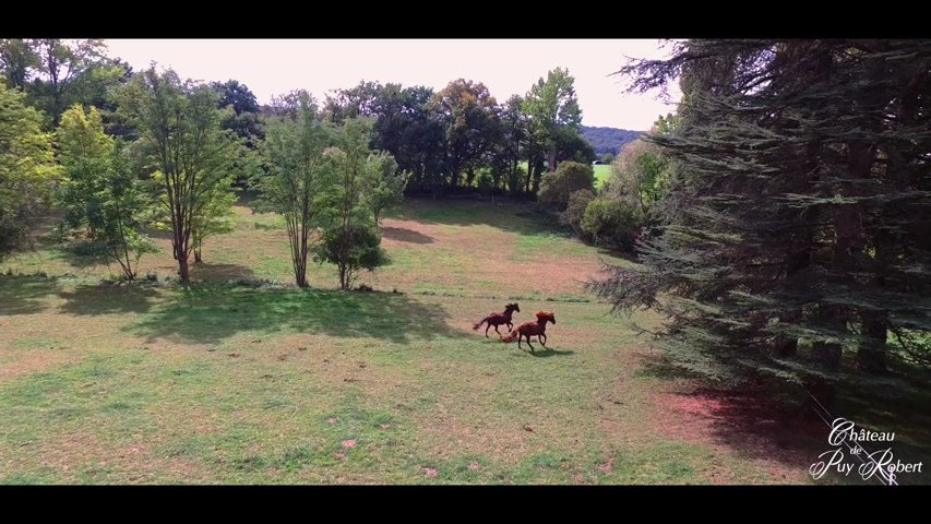 Vidéo Château de Puy Robert Montignac Lascaux Dordogne France