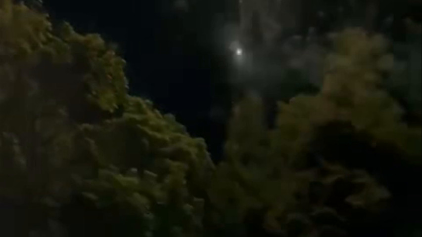 Animation buzzer feu d’artifice 