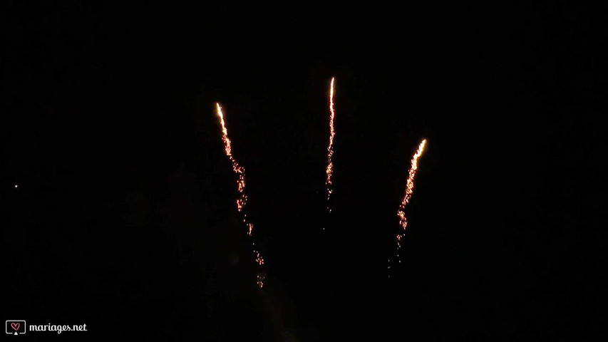 Fire Event - Videolife