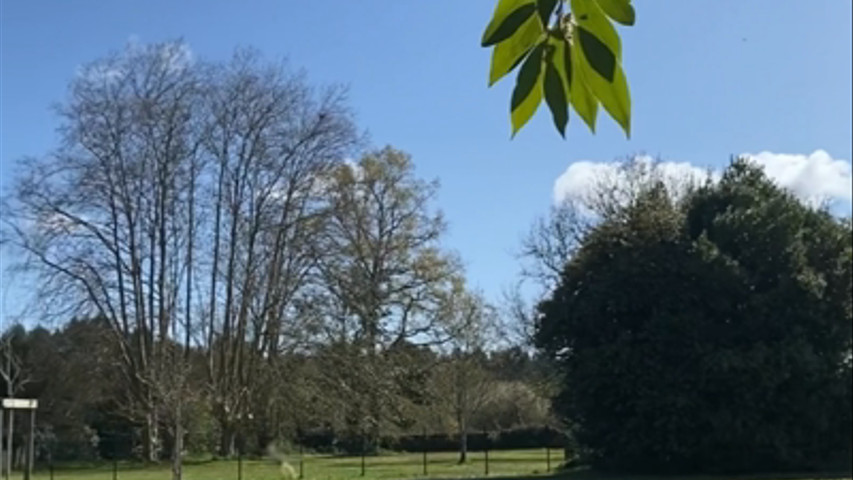 Le parc pour votre cérémonie 