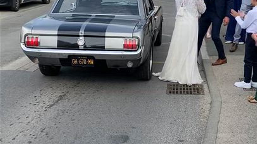 Mustang 66