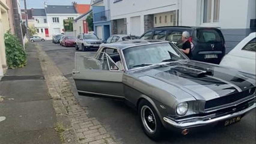 Mustang 66