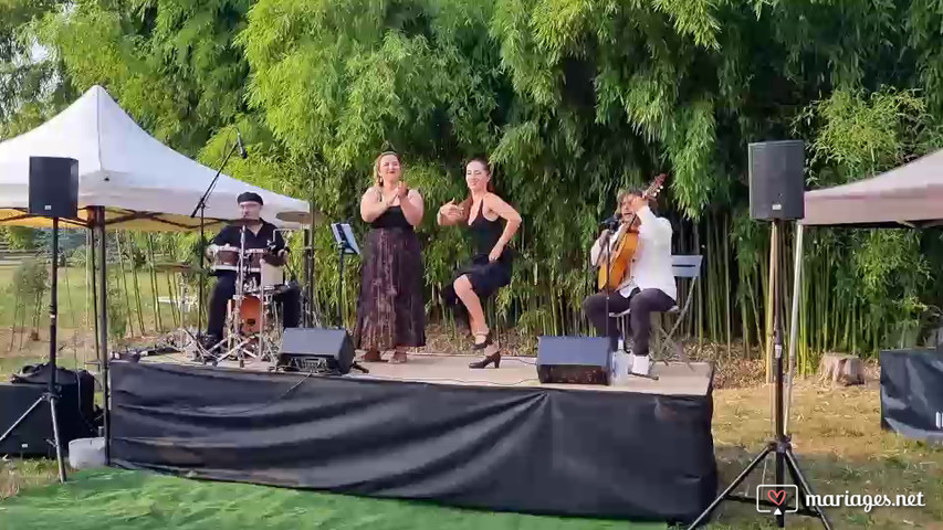 Rumba del Havana - Flamenco rumba 