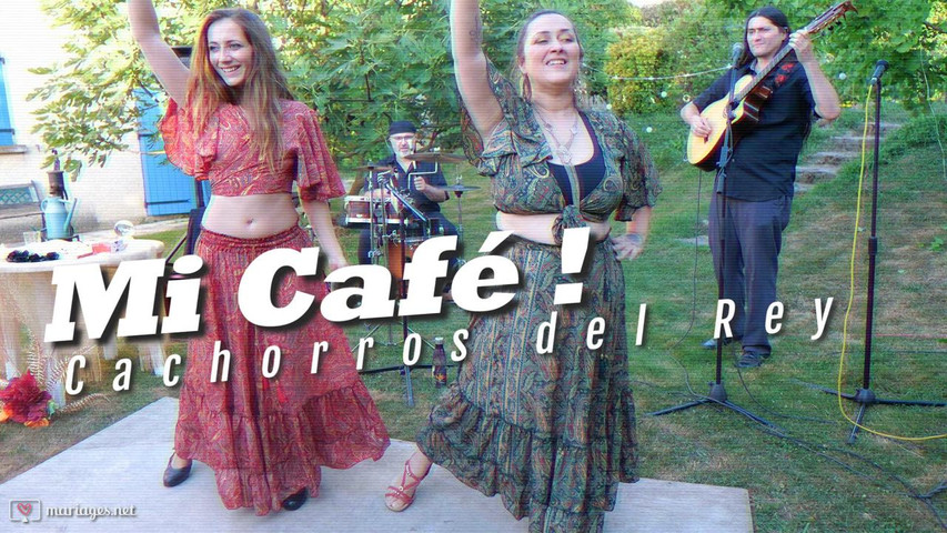 Mi café live