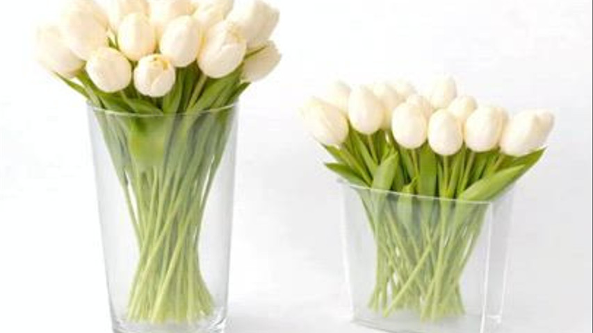 Vases et fleurs