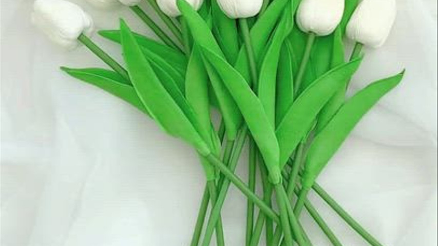 Fleurs