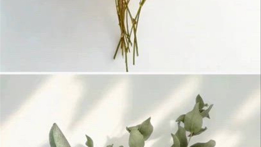 Fleurs