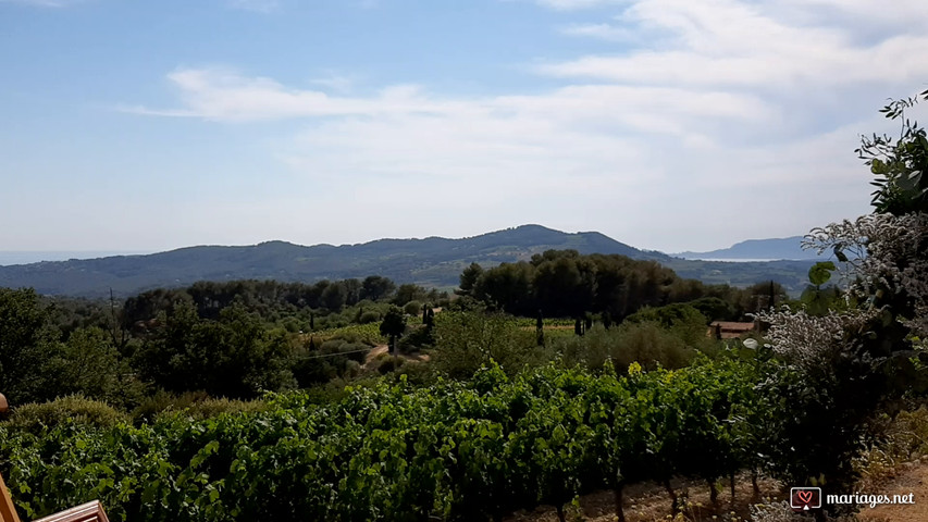 Décors paysage vignes pour peindre un tableau mariage