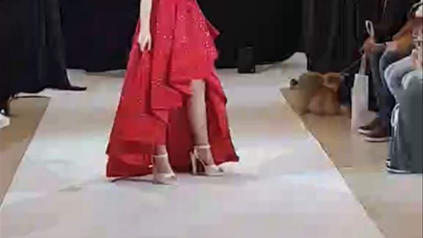 Défilé salon du Mariage champenois 2024