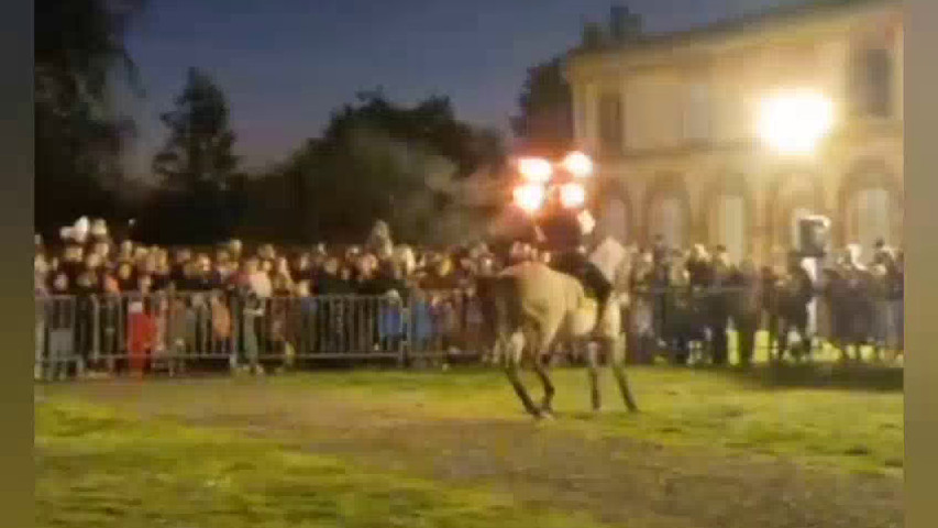 Fire Horse Show 