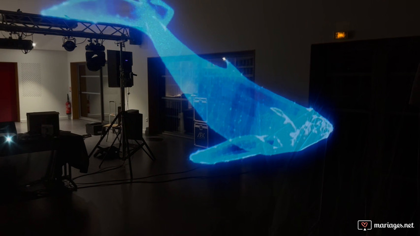 Hologramme 3D