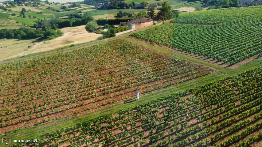 Beaujolais