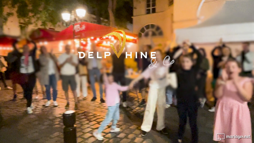 Teaser delphine vco live music