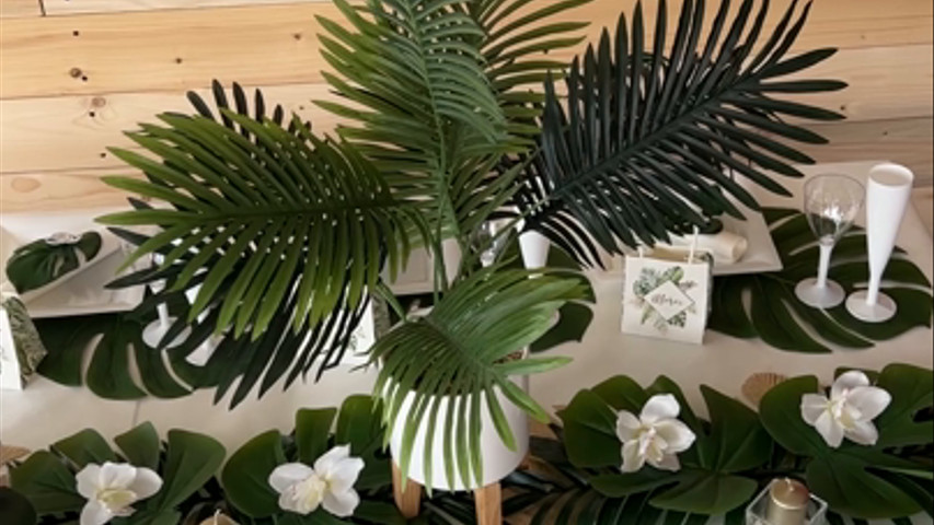 Mariage tropical - Vitrine 2022