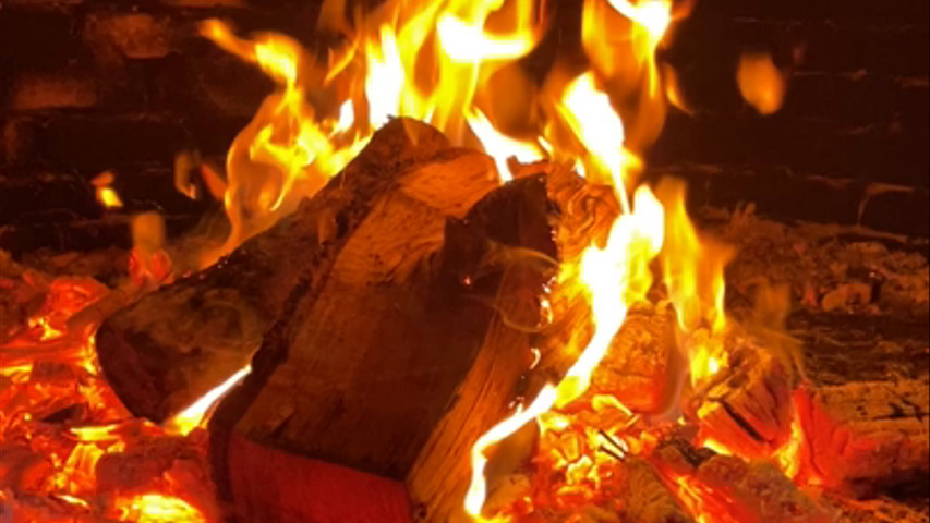 En attente de nos cuissons au feu de bois…