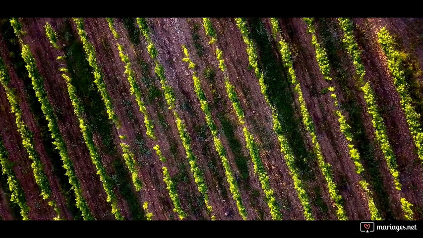 Domaine de la Bouverie 