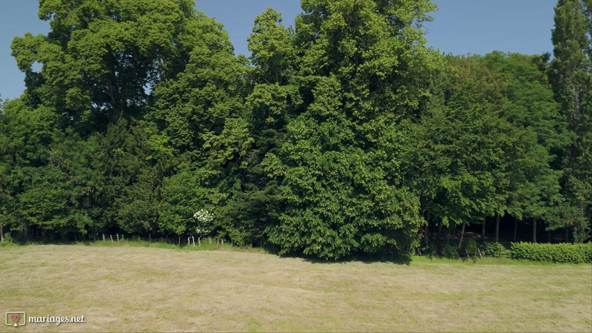 Découverte du château