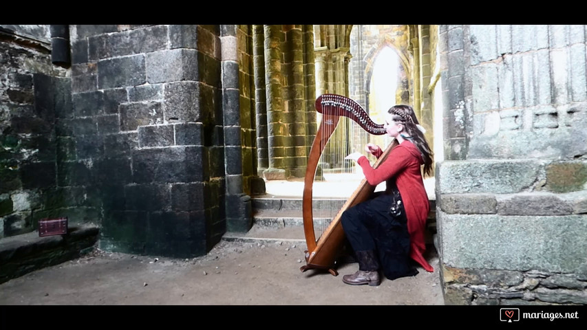 Skyrim : Medley - Harpe