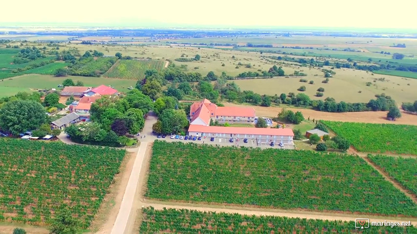 Mariage domaine du Bollenberg 