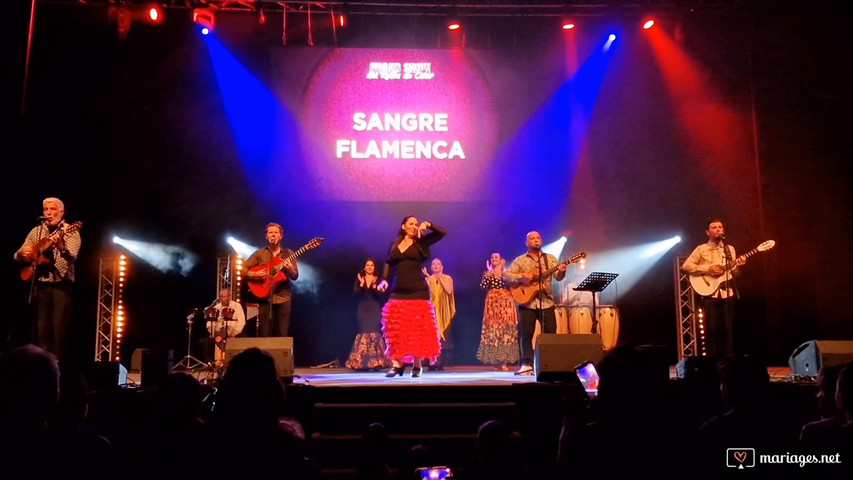 Sangre flamenca