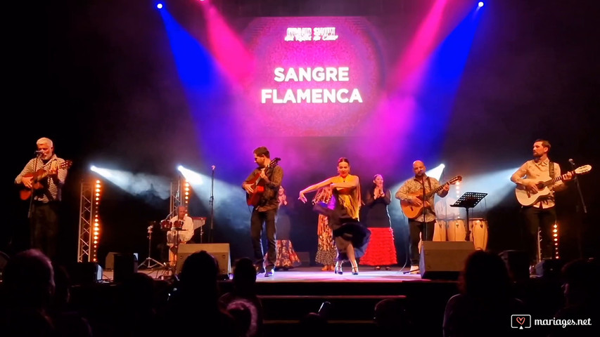 Sangre flamenca