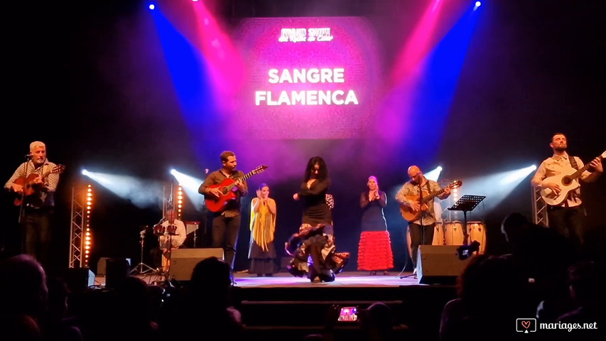 Sangre flamenca