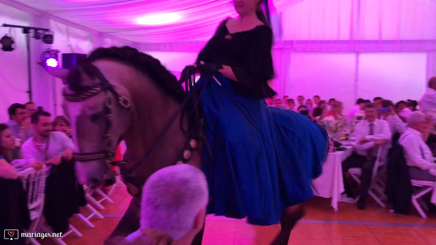 Dressage a l'intérieur 