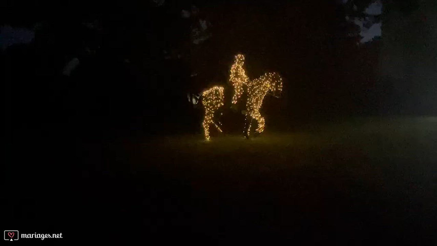 Numéro de lumière 