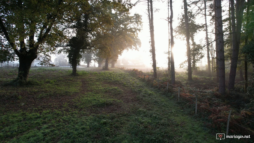 Béarn au petit matin