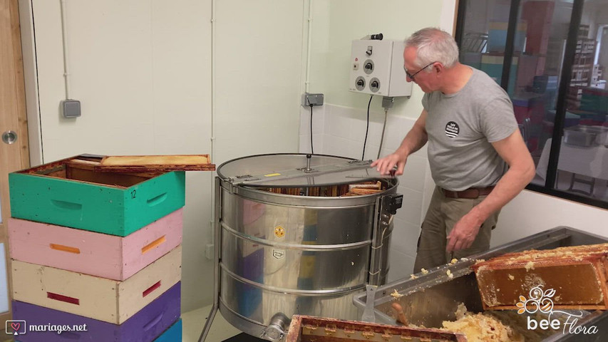 L'extraction du miel 