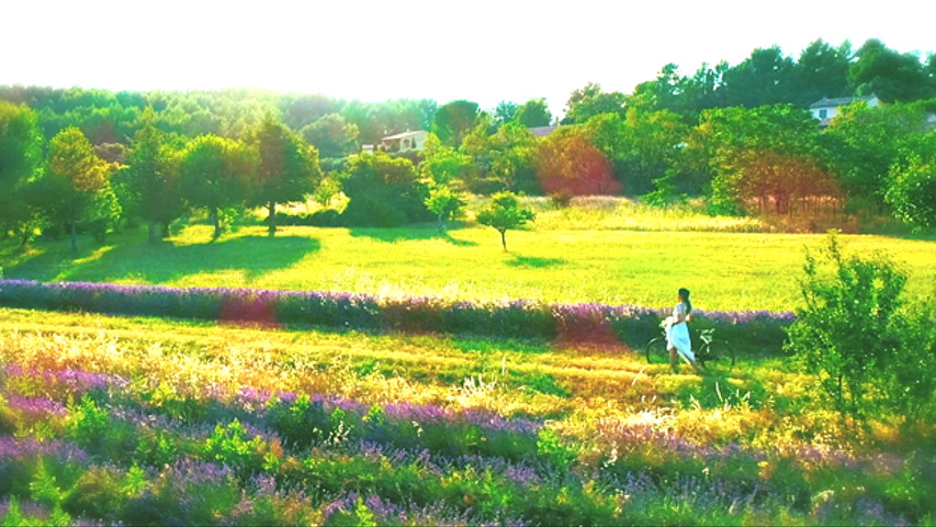 Un mariage en Provence 