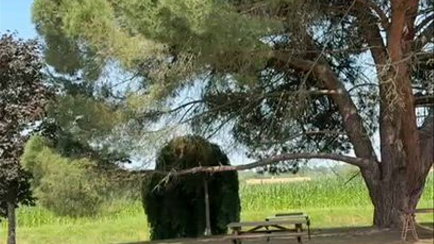 Un Jour des Souvenirs