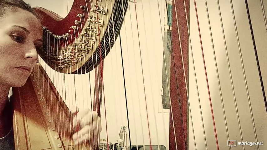 Lac des cygnes sur harpe classique 