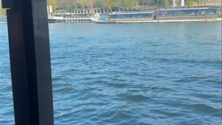 Mariage sur la Seine