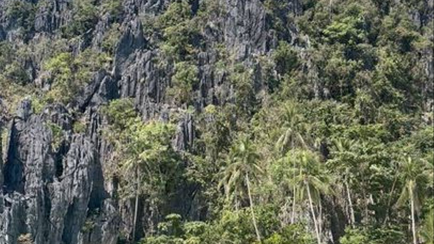 Tour en bateau aux Philippines