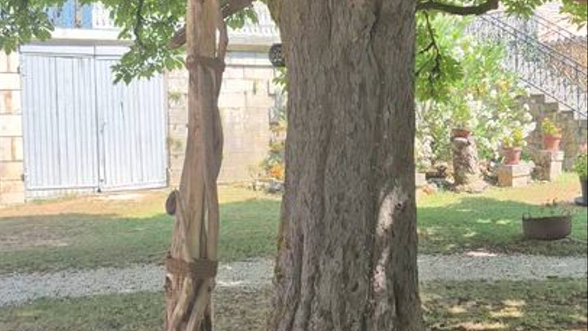 Notre arche et pupitre en bois flotté 