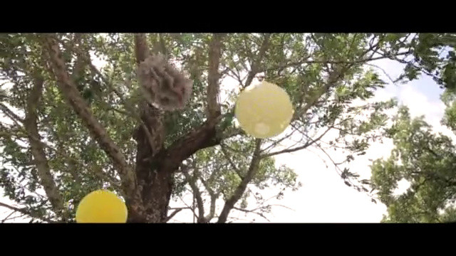 Teaser vidéo mariage Domaine de Flore