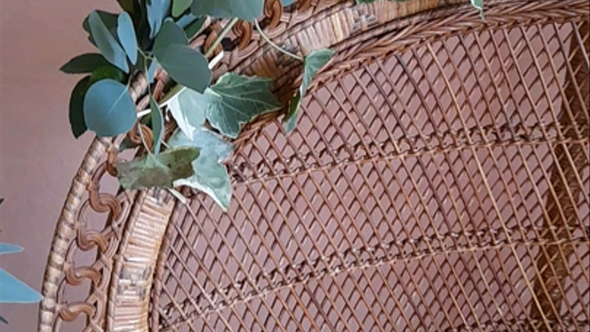 Demi arche en eucalyptus