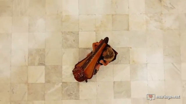 You raise me up - Harpe cover 