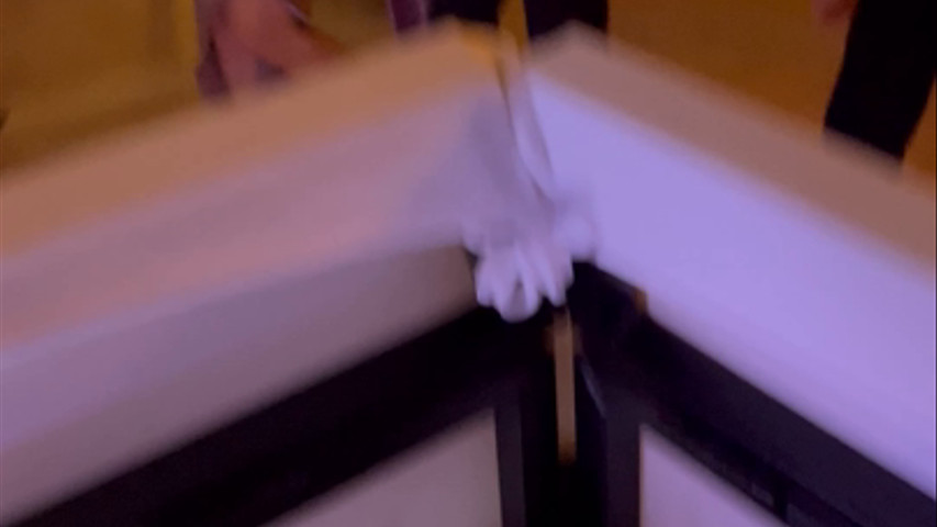 Château de Castelneau