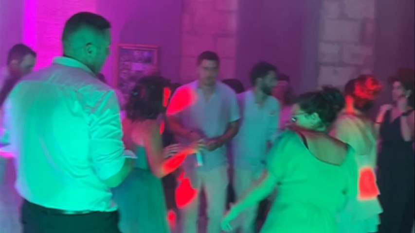 Château des Dauphins St Loubes