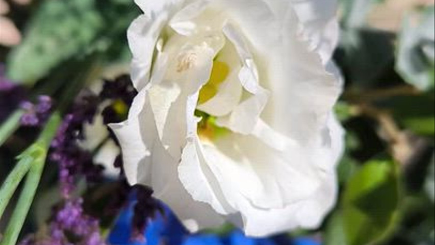 Arche fleurie 