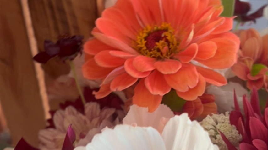 Bouquet de septembre 