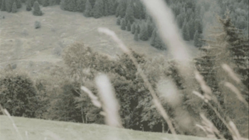 Un mariage dans les Vosges