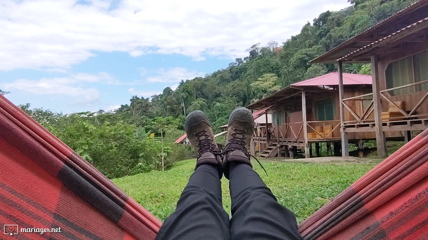 Jungle au Pérou