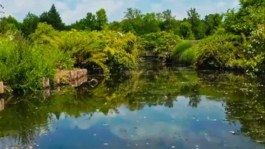 Video Domaine de Berville