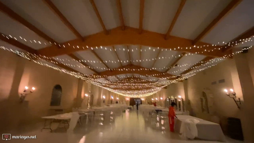 Plafond Chateau Lafitte